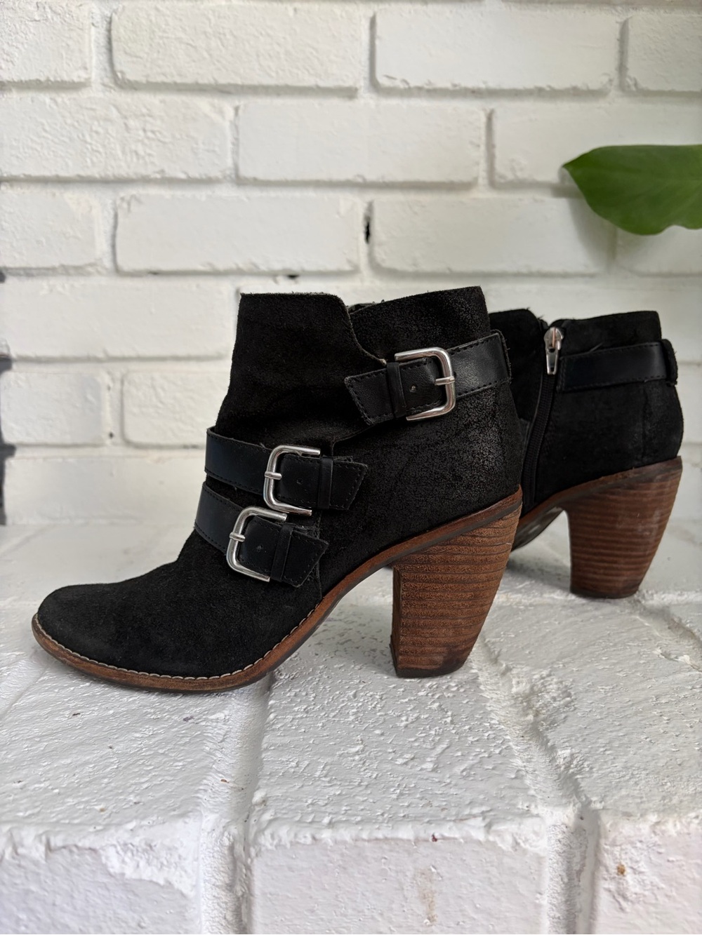 DV by Dolce Vita Black Suede Buckle Ankle Booties
